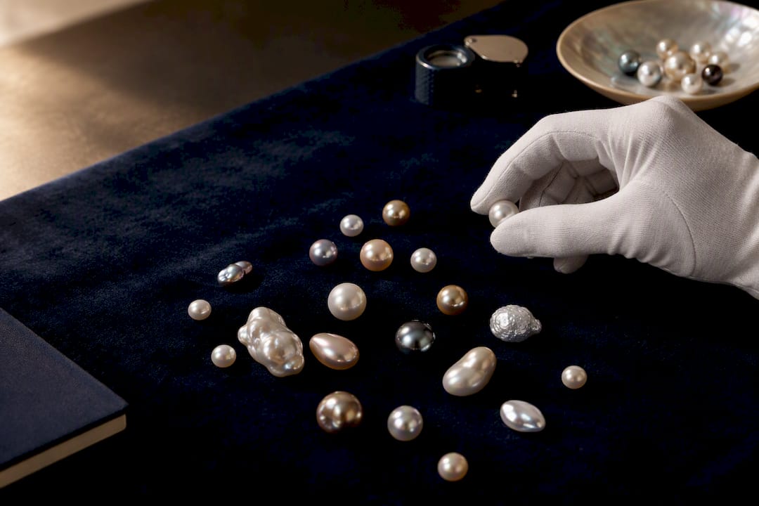 Loose pearls compared under dramatic studio light